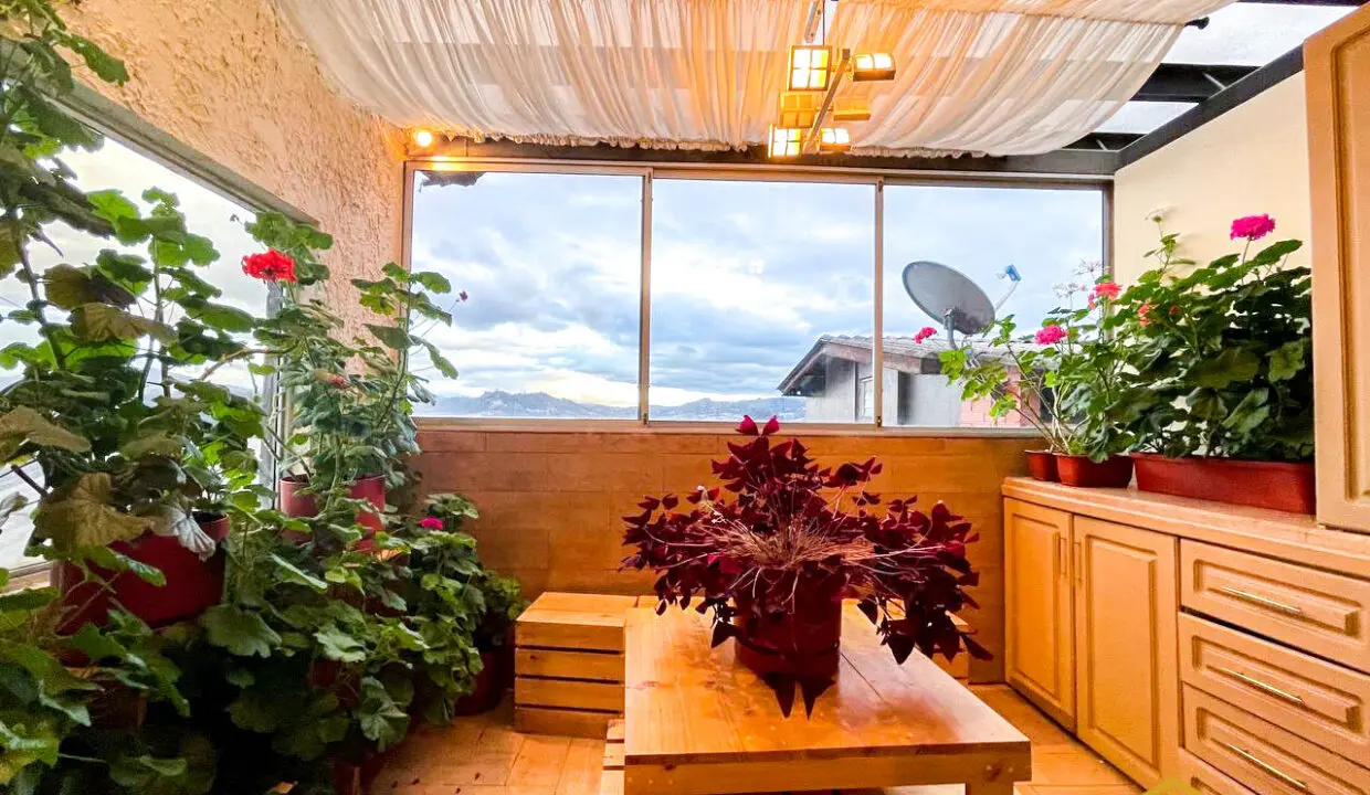 Area social Penthouse