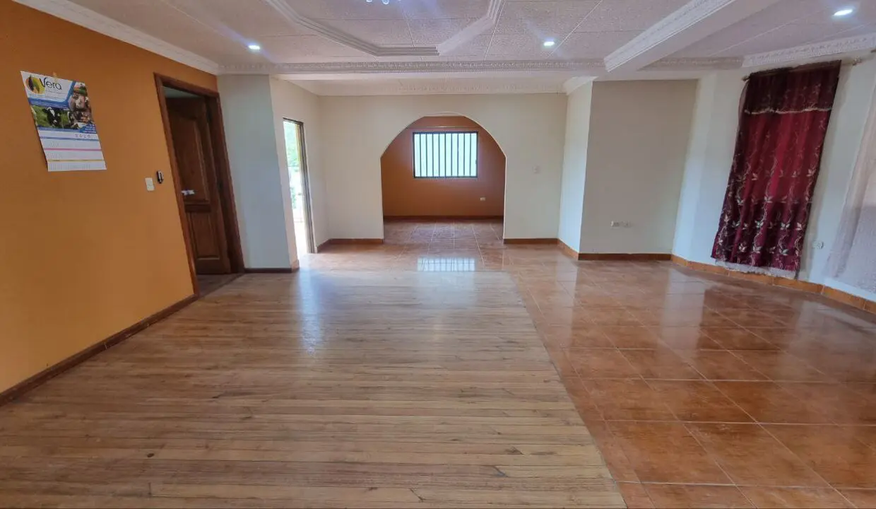 photo_5170277705780931507_y