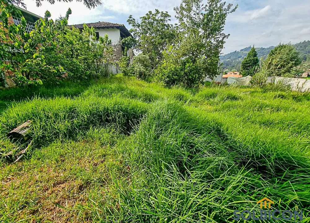 espacio verdes en guabo