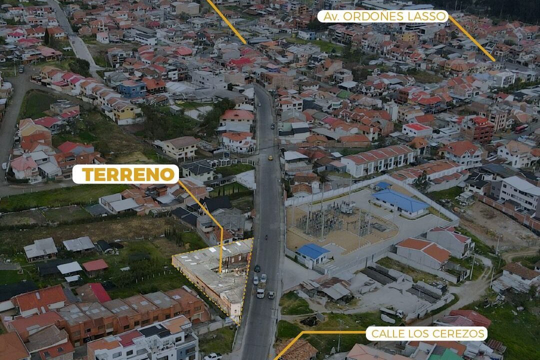 WhatsApp Image 2024-08-19 at 8.34.01 AM