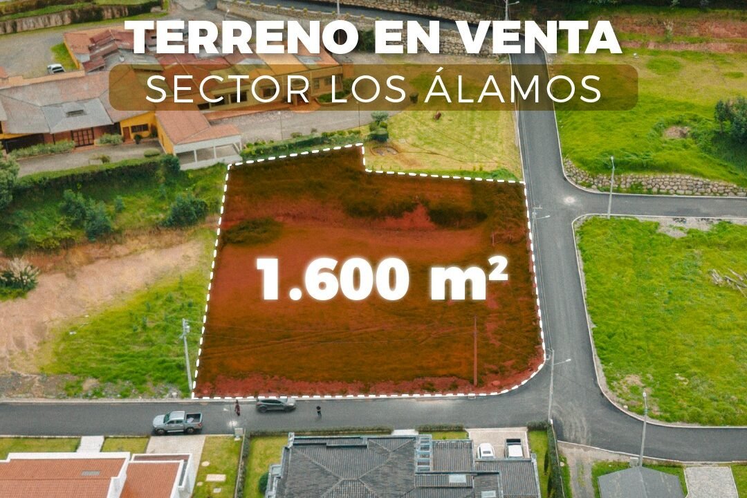 SaveClip.App_641735350_18096501386287999_5948750885761879075_n