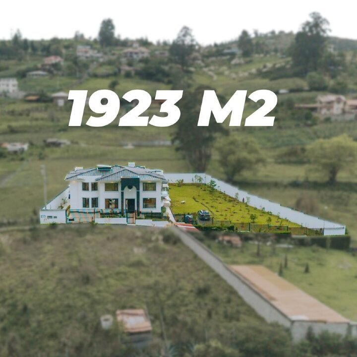 SaveClip.App_655970339_18098957372287999_2565755109287835591_n