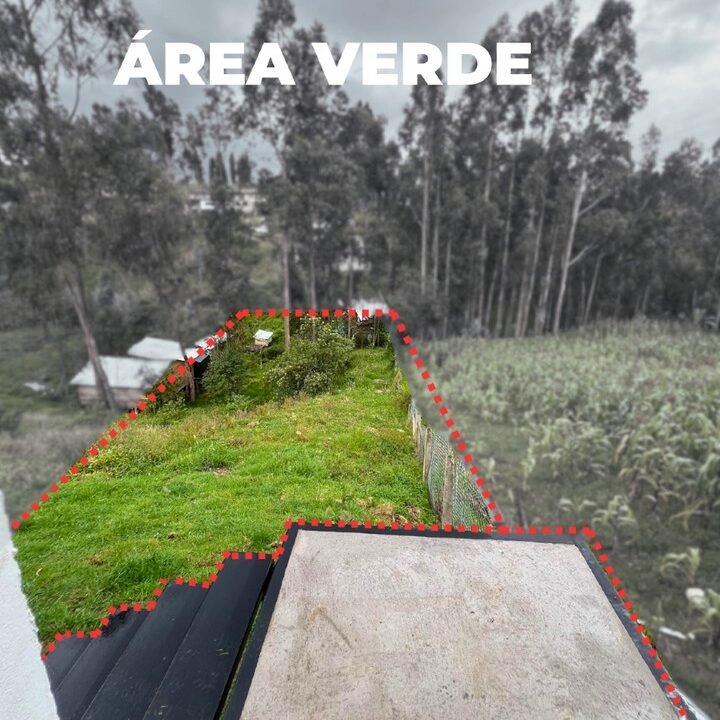 SaveClip.App_656826256_18099053174287999_4887590483224575612_n