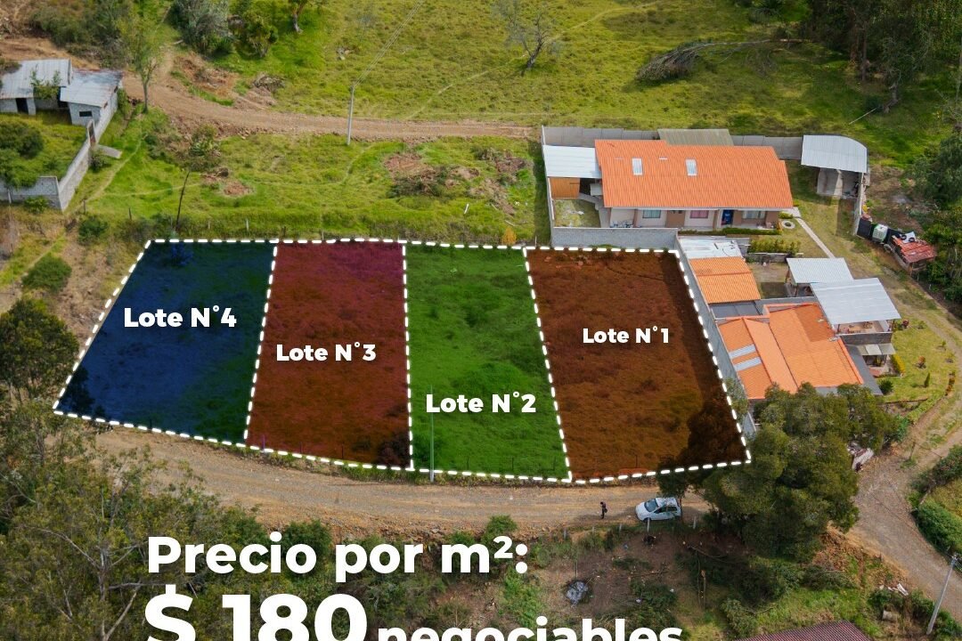 SaveClip.App_657909300_18100592834287999_8178086455662251170_n