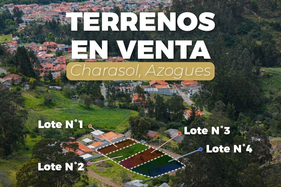 SaveClip.App_661595750_18100592810287999_1143811989023880563_n