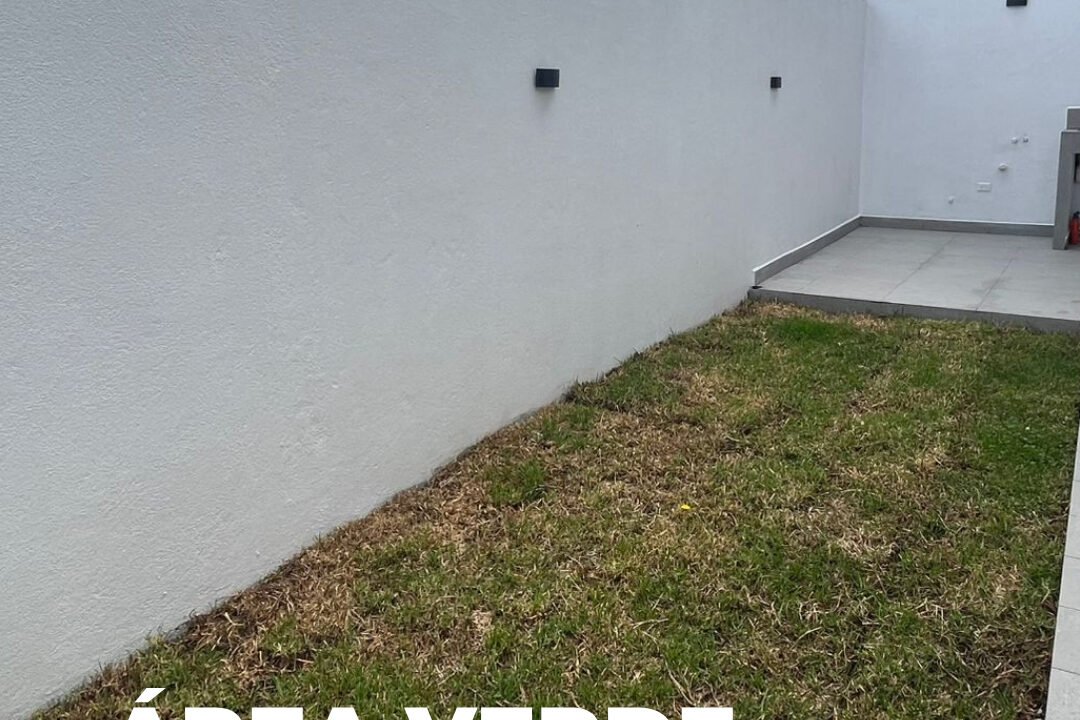 SaveClip.App_669887076_18100704647287999_5569471569206480140_n